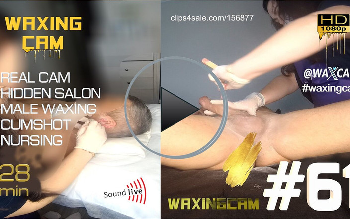 WaxingCam: 61 vaxande hane (full)