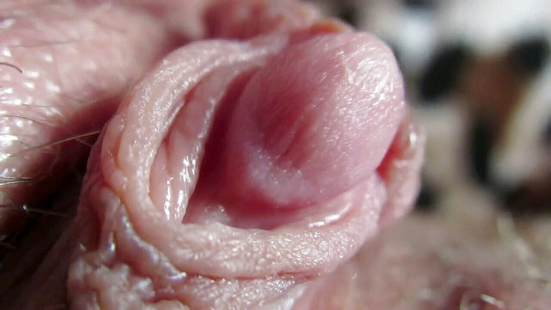 Cuteblonde666: Tổng hợp âm vật lớn 2