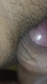 Desi Wife's