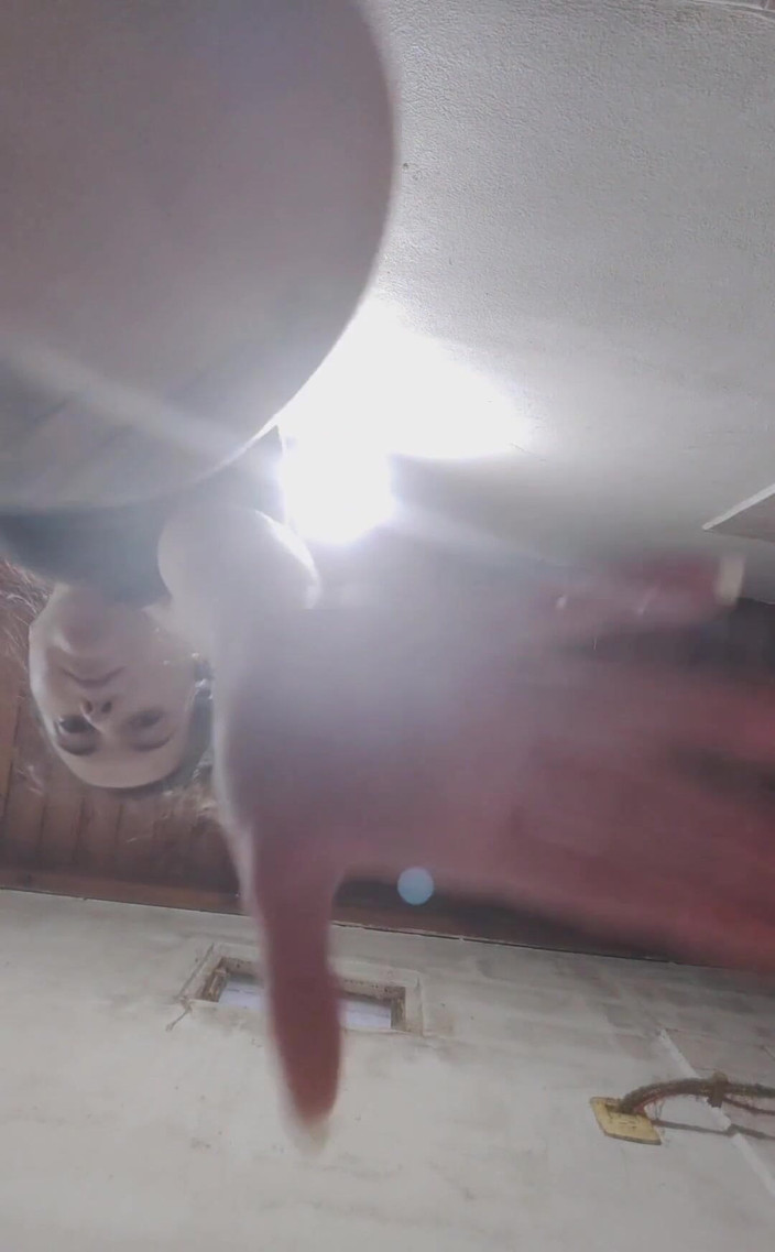 RavenHearth666VIP: Pokazuje nastolatka owłosione cipki