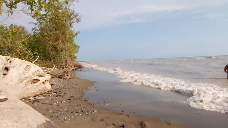 Skin&earth: Baculatý medvěd, Roztrhané mokré kalhotky, Nude Beach Jerkoff (skinandearth)
