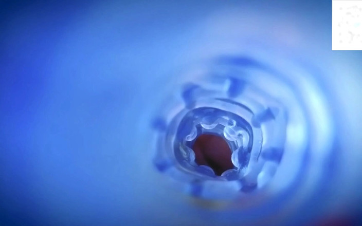 Kimberly Polizzi: 2025년 10월 15일부터 라이브 김