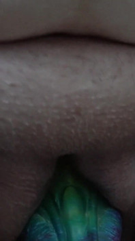 The Continuation of the Small Impression, with My Colorful Dragon Dildo.