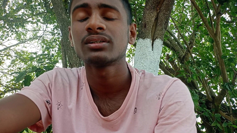 LinearOrnament35: 说话视频