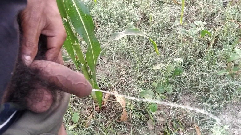 Desimast7: Indian Boy Pissing in Morning