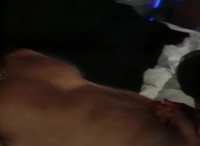 Alfacontent: Hairy brunette chick rides her lover's cock