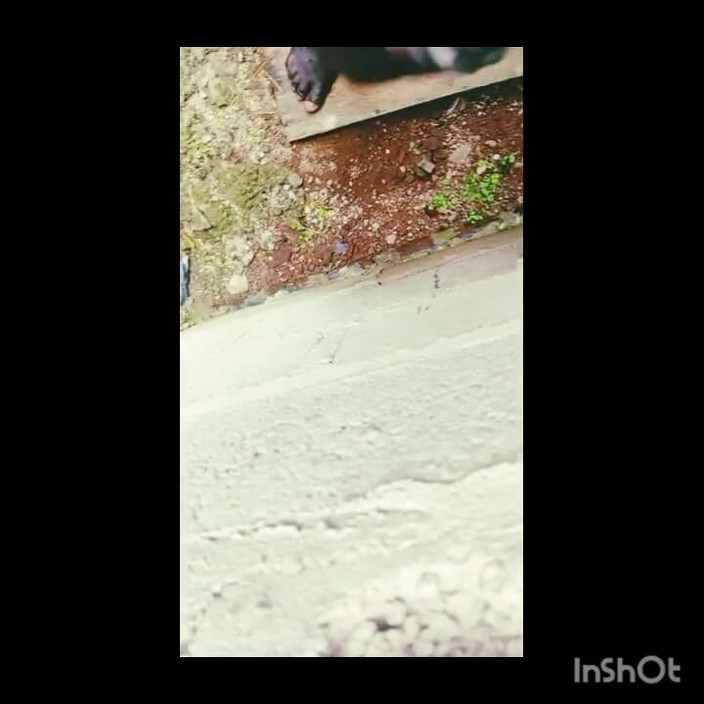 Hongi: 흑인 대물 자지에게 따먹히는 젊은 아프리카