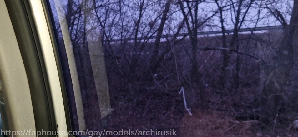 ArchiRusik: A intrat în mașină și m-a futut pe marginea drumului fără prezervativ