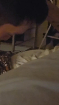 Výcvik psů a otroků na nohou pro tchajwanské hosty, část 1