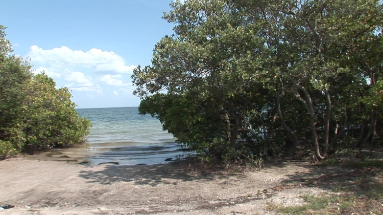 Cryptostudios: Petite girls flashes booty and tits