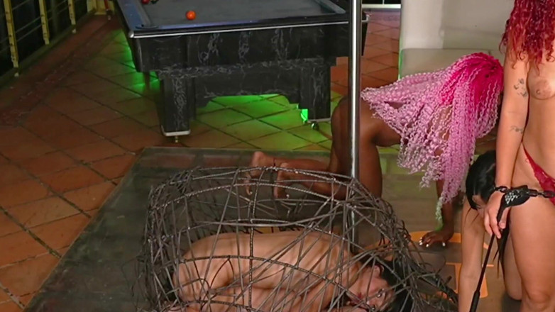 Good Girls Mansion: Rinchiusi fanno ogni tipo di cose per lei (feticci) GGmansion