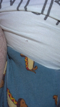 Hairy Ass, Balls and Dick of a Midget Close up