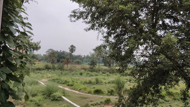 biharisonam: Stepsister-in-law Was Wearing a Saree and Was Wearing a Broom...
