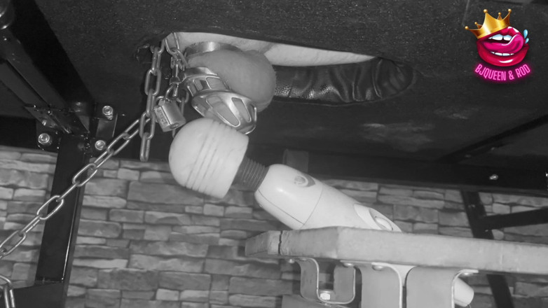 Mistress_BJQueen: Wyprodukowano do spermy w chastity Cage Powściągliwy na stole dojenia