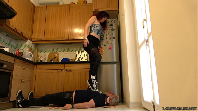 Lady Scarlet: Lady Scarlet - kuchnia, wycieraczka i My Allstars - Una Cucina, Un...