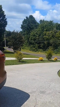 Car Vacuum Dripping Cunt