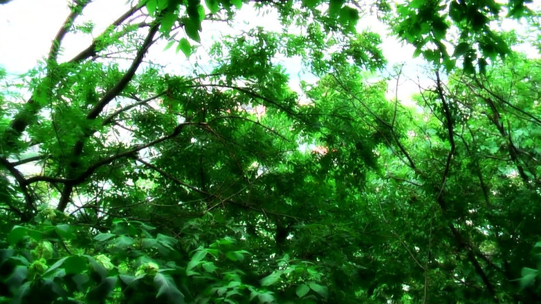 German Full Movies: Pornosterren Privé - Volledige Film