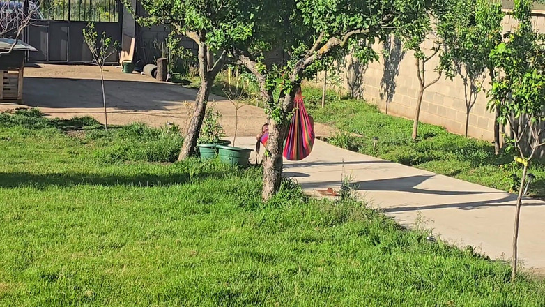 Labestiaylabella: 継父が妻が家にいない間に義理の娘を屋外でアナルで抱く!!