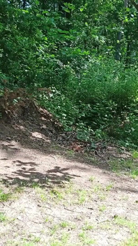 Old Sexy Hitchhiker Whore From Street Fucked in Forest with and Then Without a Condom