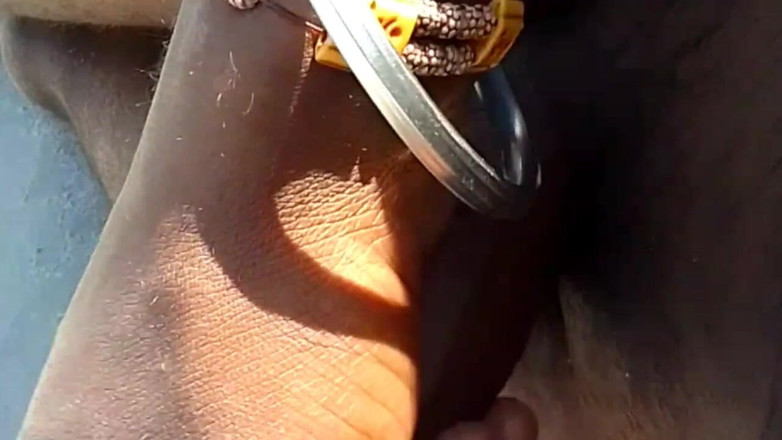 Aashiq: 인도 해변 고아 고아 자위