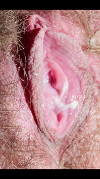 Extremely Close-up of a Hairy, Creamy Pussy