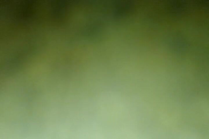 Mishelxl: Upp i röpan 2