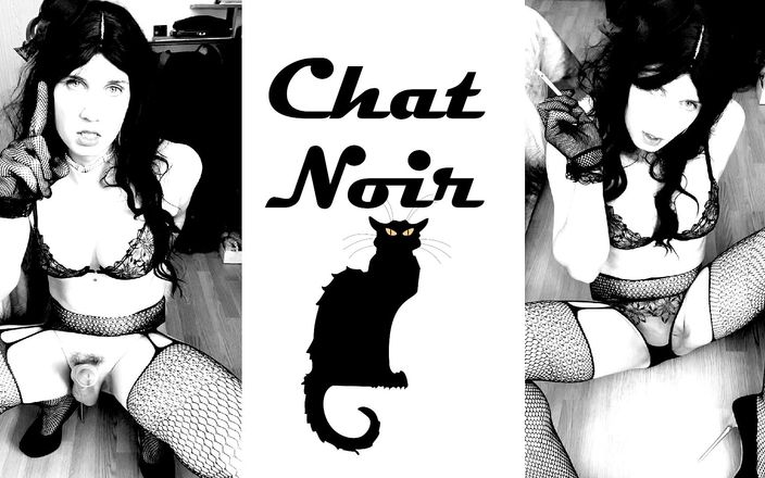 Anna Rios: Chat Noir