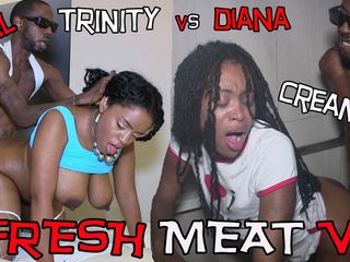 Nasty films: Fresh Meat V.4 ( Creampies &amp; Anal )