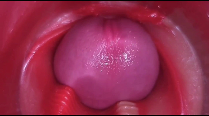 Creme sperm: 최고의 젖탱이 모음집 - 4K 카메라