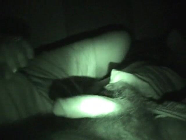 Ilario: Mica Fernandez sucking cock in nightshot