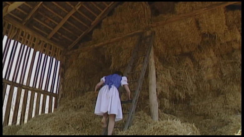 German Full Movies: Zakłady jebanie - wszystko jest dozwolone. Spust przepływa i cycki latają