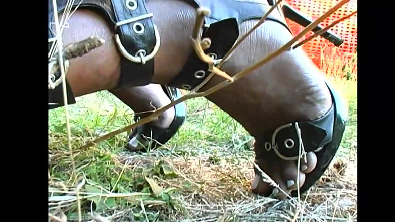 Shemale World: verrückte anal-liebhaber