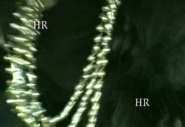 Italian swingers LTG: Włoski seks w latach 90. w ekskluzywnych filmach w sieci # 3 - Niezadowolone...