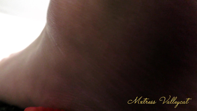 Mxtress Valleycat: Gigante succubus destrói aldeia