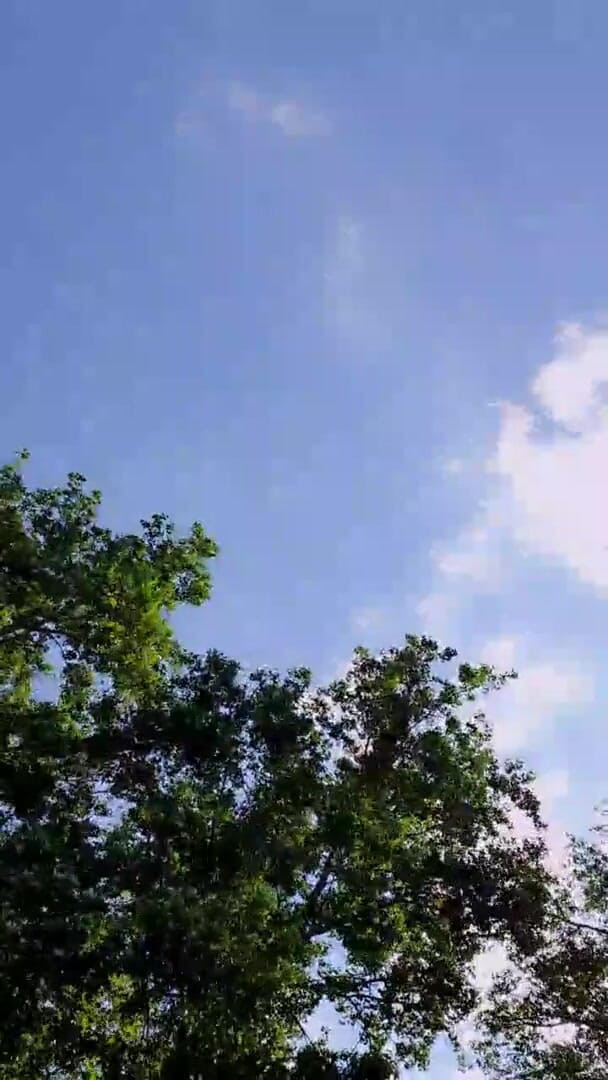 Slutboyben: Il ragazzo in cam4 maiale esibizionista pubblico mega sexy