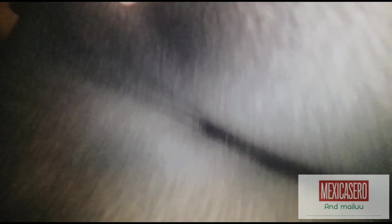 Mexicasero: लेगिंग में परफेक्ट लैटिना