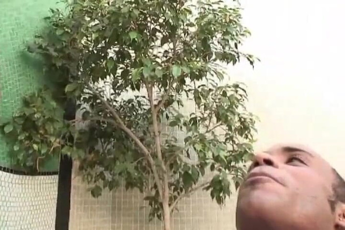 Shemale World: Uvnitř mého zadku