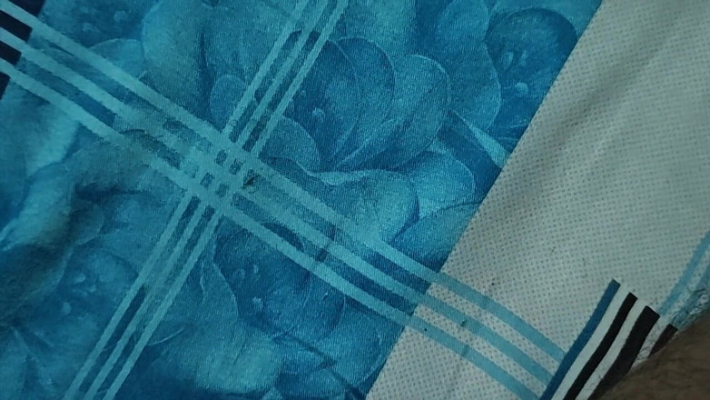 Hot Chilli 2025: La mejor diversión en solitario! Mira las actividades de tiempo...