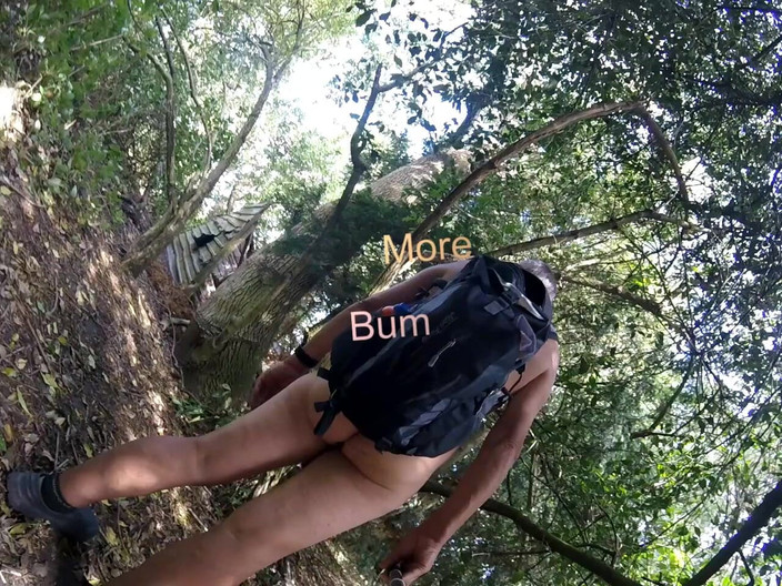 Andy: Promenad 44 2025