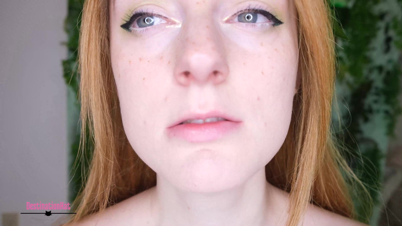 Destination Kat: Обмен