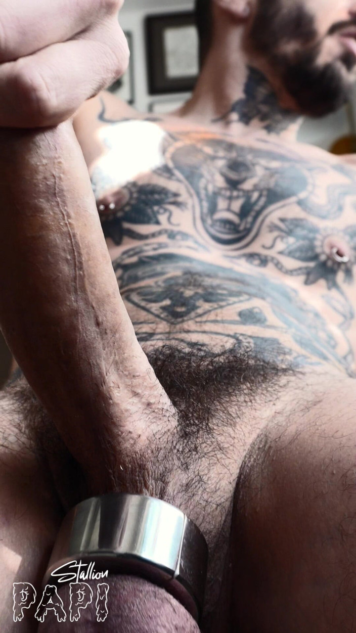 Stallion papi: Jacking off
