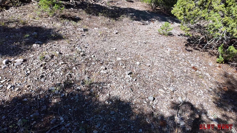 Nasty sluts studios: Slut Hunt ep.5: pixie dihukum