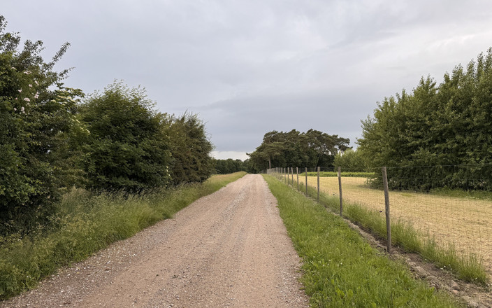 Qualzucht: Letní dovolená 2025, Video deník, část 1