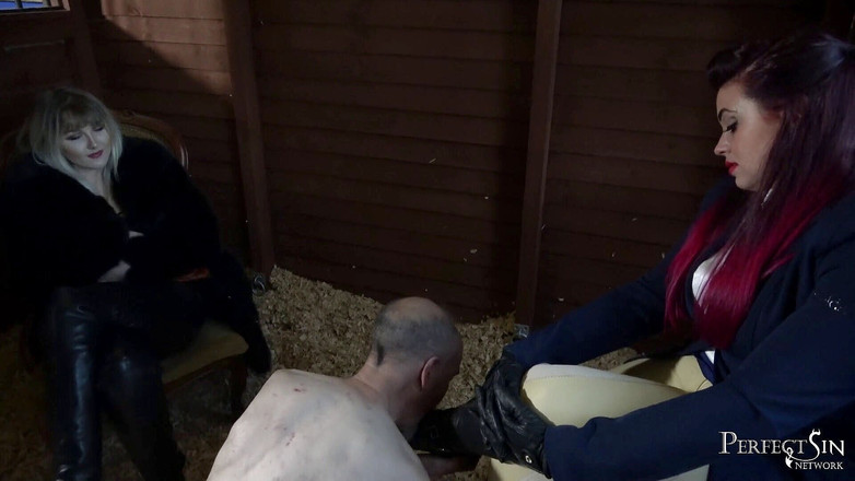 Perfect Sin Network: ごめんなさいという気持ちを伝えてください