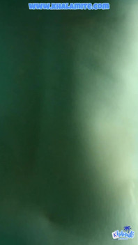 He Fucks Me in Front of Everyone in the Pool: Intense and Risky Sex