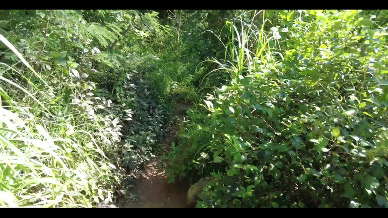 English Psycho: O a trouvé une superbe barbie trans de 18 ans pour...