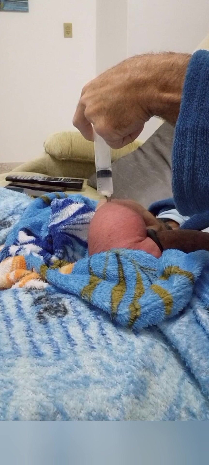 Lion big balls: 60cc saline injekce do každého vejce