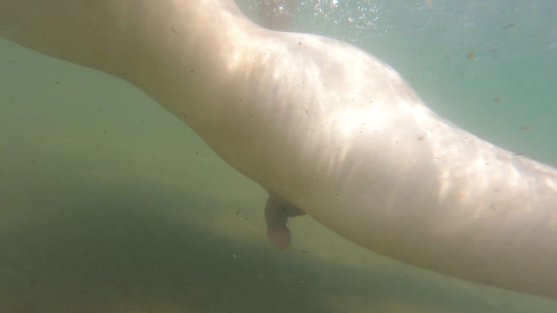 Cool Body: Spuszczę się tylko dla przyjemności uczucia wolnego, nagiego na publicznej...