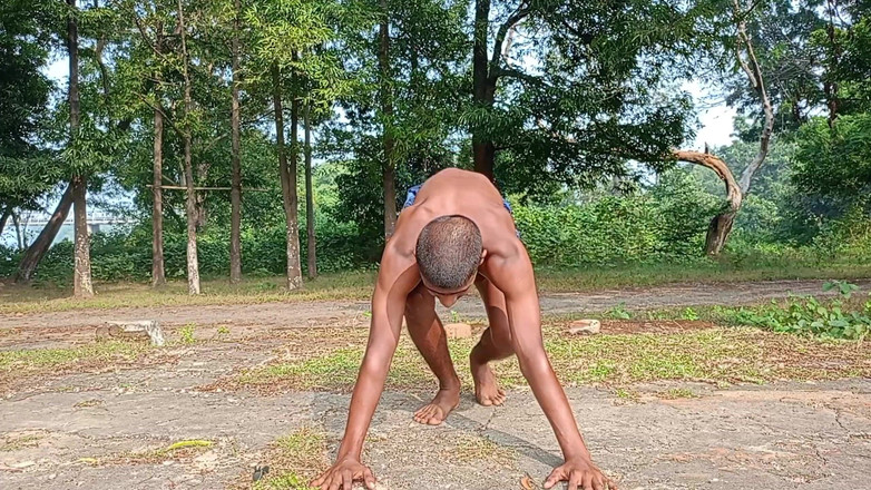 LinearOrnament35: 100 itme meydan okuması canlı purup