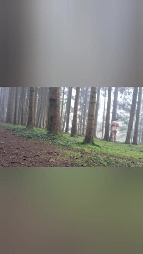 Swissapple: Alla ricerca di Babbo Natale